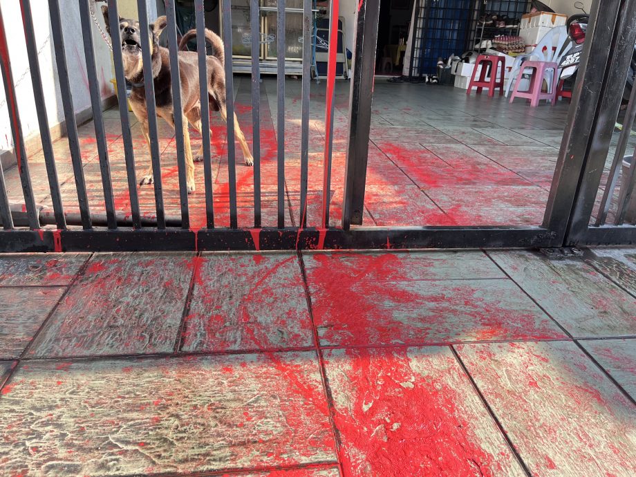 大都会/封面副文/阿隆骚扰