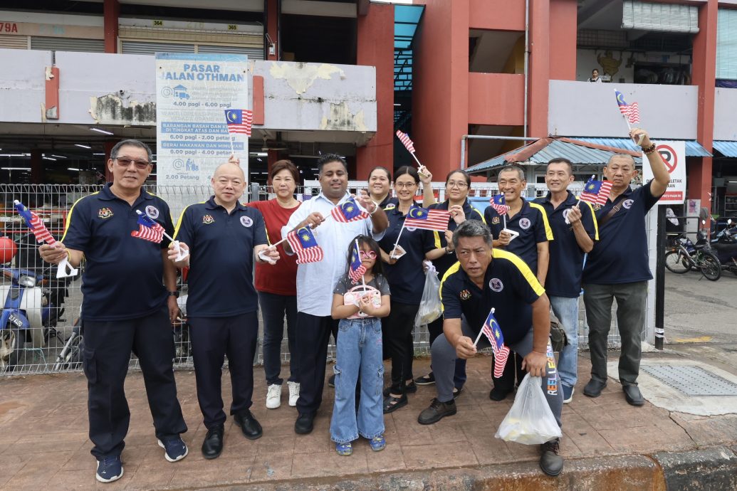 大都会/拉吉夫派国旗/4图