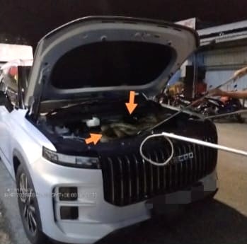 大都会/请签发/安邦太子园早市巴刹,蟒蛇吞噬野猫不果遭活擒