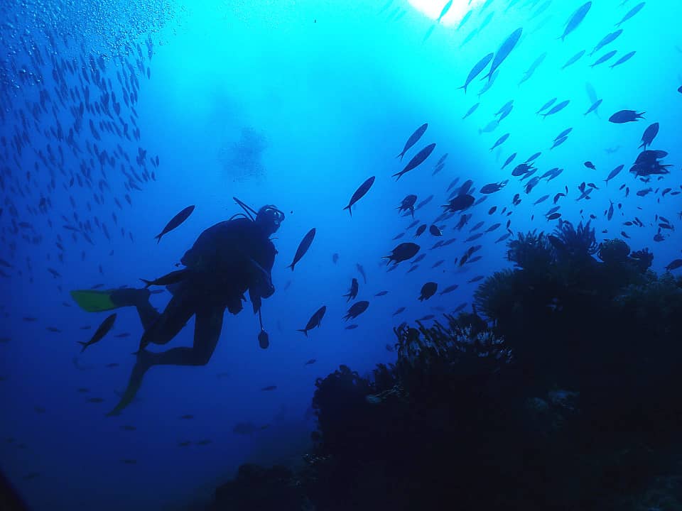 大都会（8月21日刊） 星角摄：发明家也是海底摄影师——萧光麟用镜头诉说海洋的呼吸