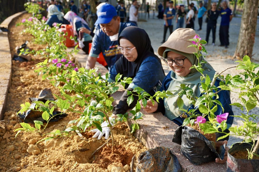 大都会（版3头）/巴生石头公园再变装