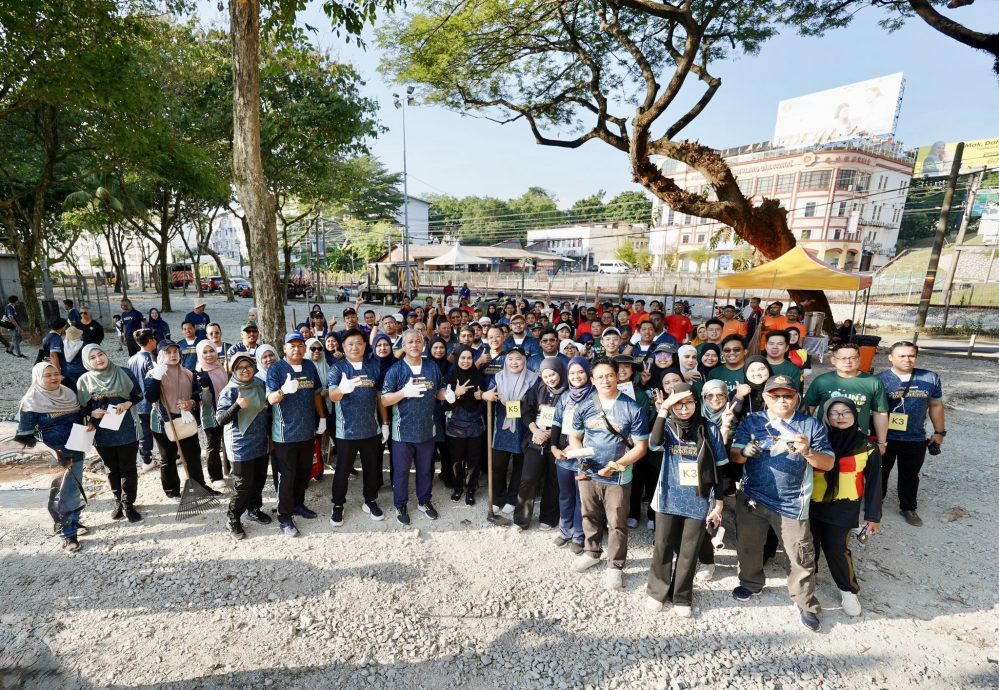 大都会（版3头）/巴生石头公园再变装