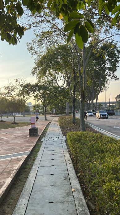 大都会（版3头）/巴生石头公园再变装