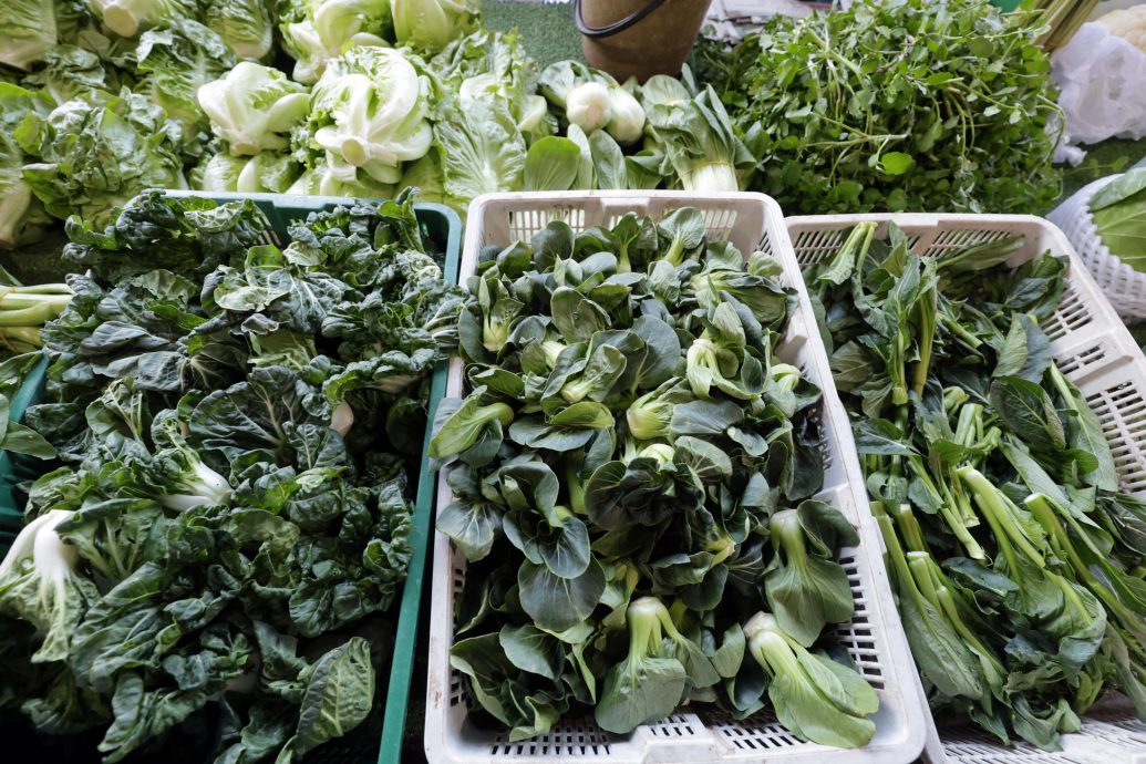 大都会(版头):走访菜价