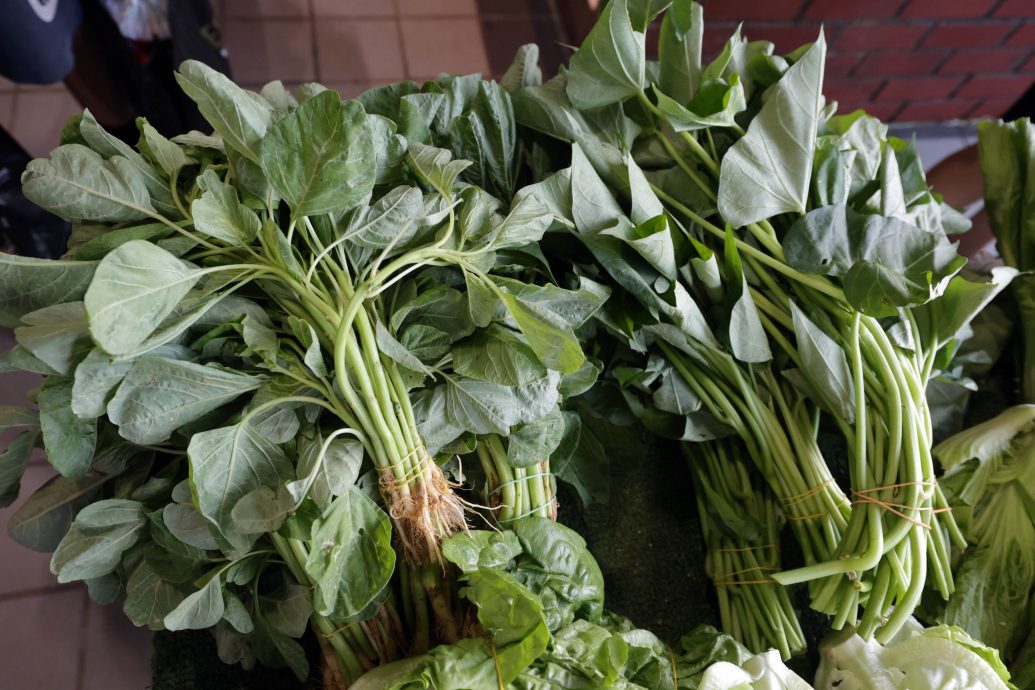 大都会(版头):走访菜价