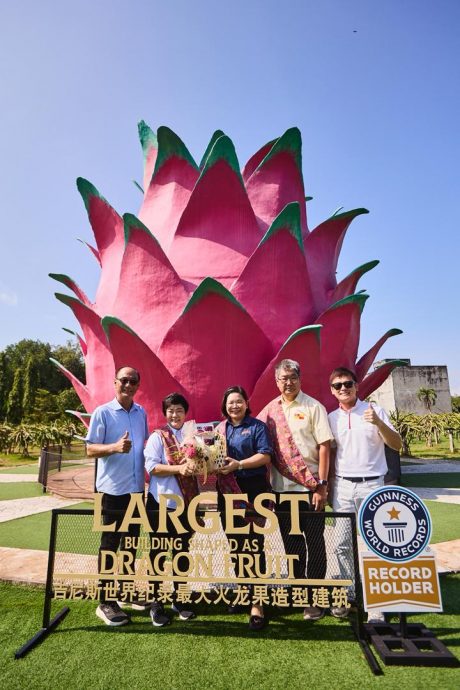 大都会：雪州火龙果与热带水果观光 2025