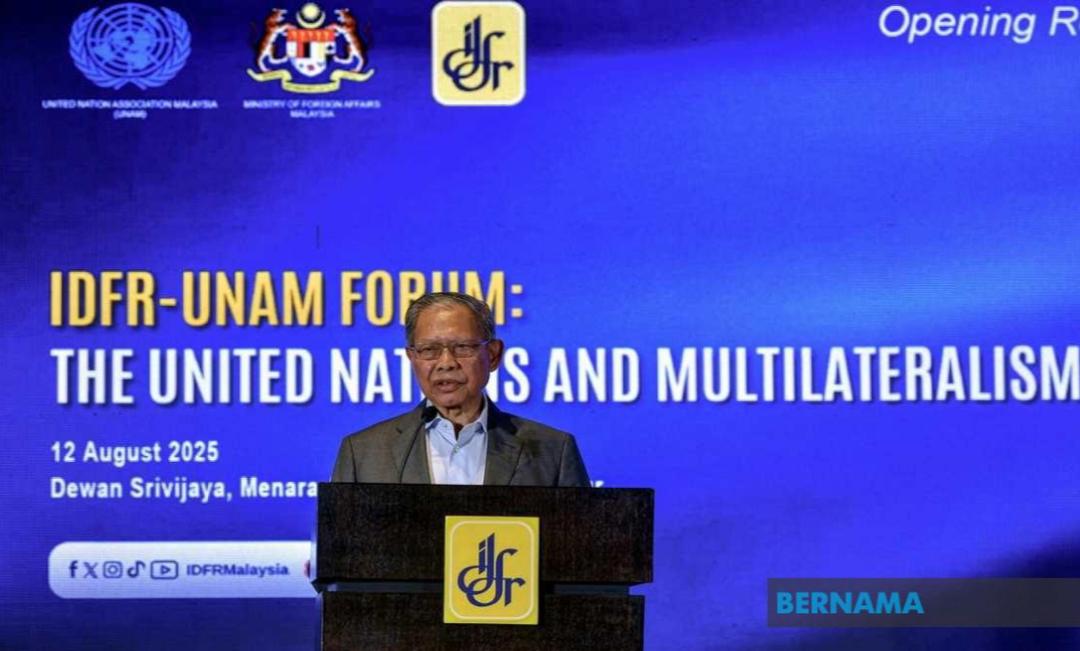 大马联合国协会主席