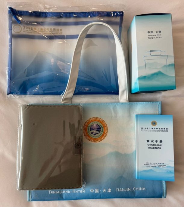 天津上合峰会今举办 安华下榻酒店保安森严