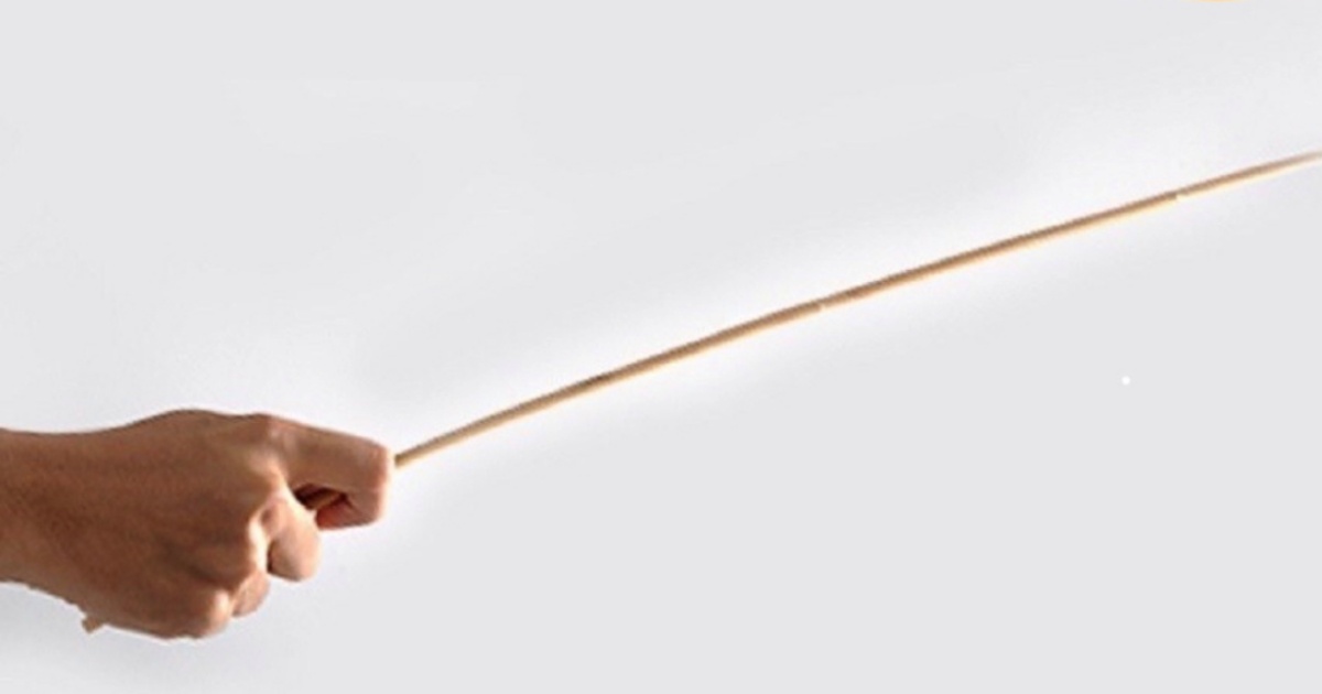 学生好坏怎幺办？土团议员：拿藤条鞭下去！