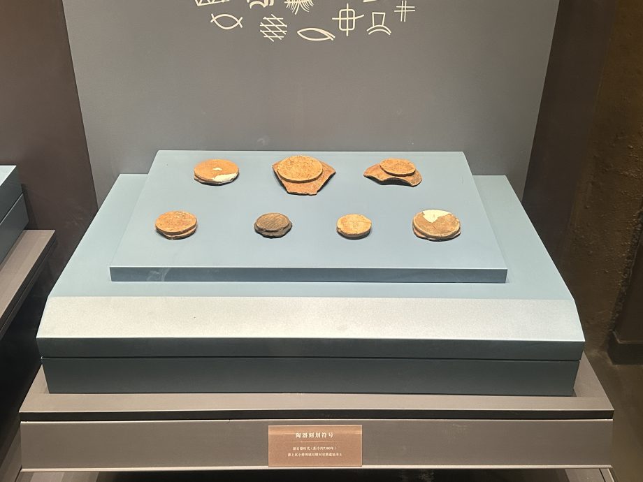 安徽双墩遗址揭秘7300年前先民“日记本”