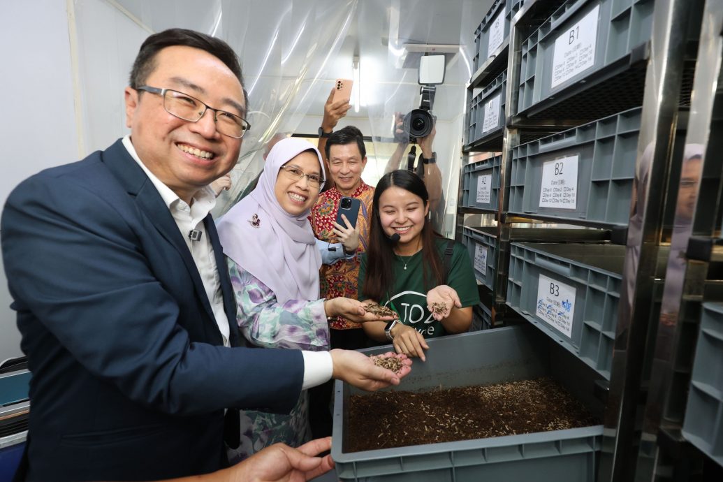 安新华校首设“藻虻公益生态环” 郑立慷: 厨余变资源 环境行动推动社会经济的最佳例子