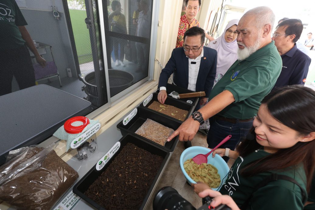 安新华校首设“藻虻公益生态环” 郑立慷: 厨余变资源 环境行动推动社会经济的最佳例子