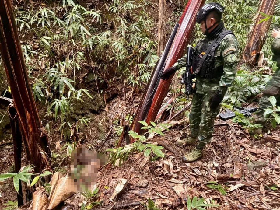 密林中狭路相逢 警匪驳火歼灭5毒贩