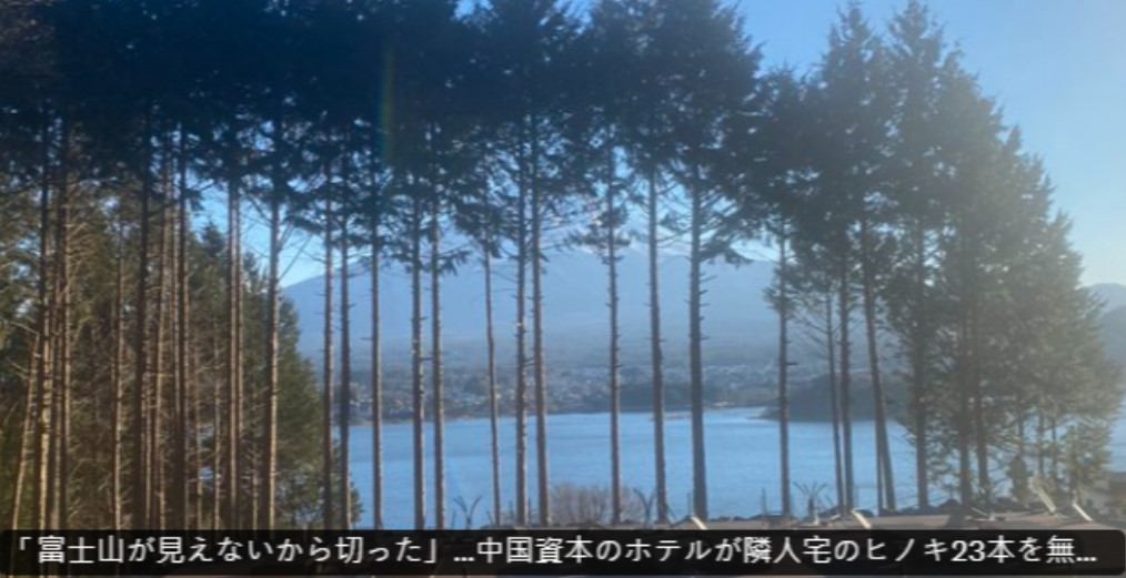 富士山河口湖开旅馆乱砍邻居树 中国籍男遭判1年徒刑