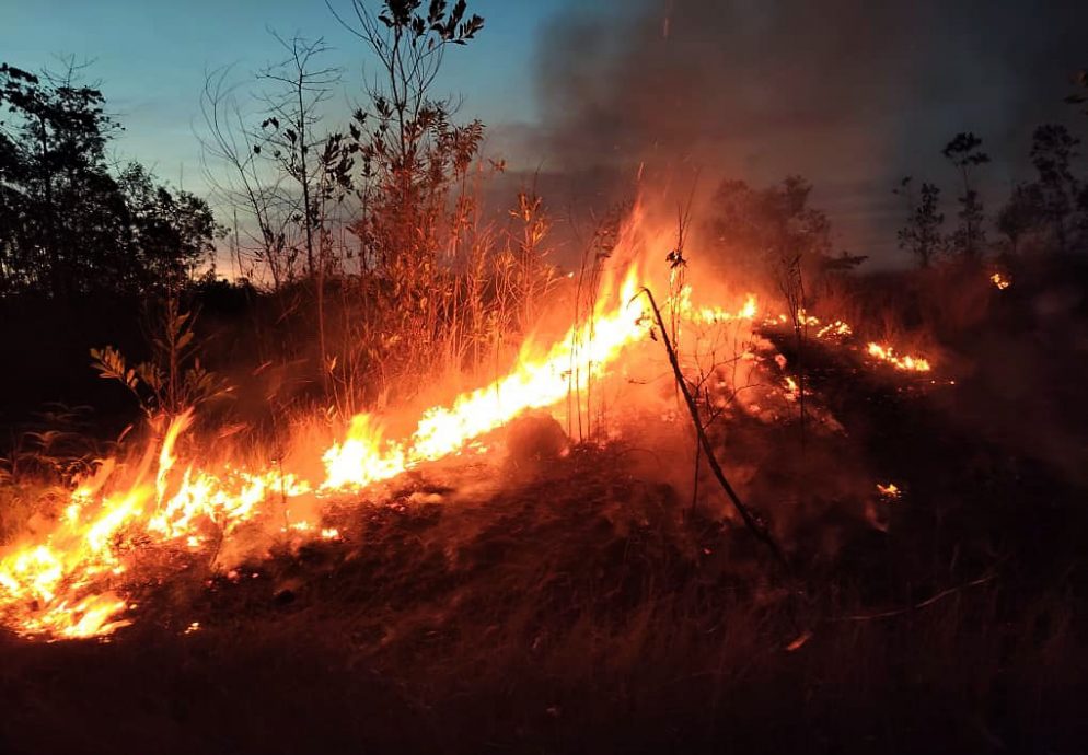 5州11区一级热浪