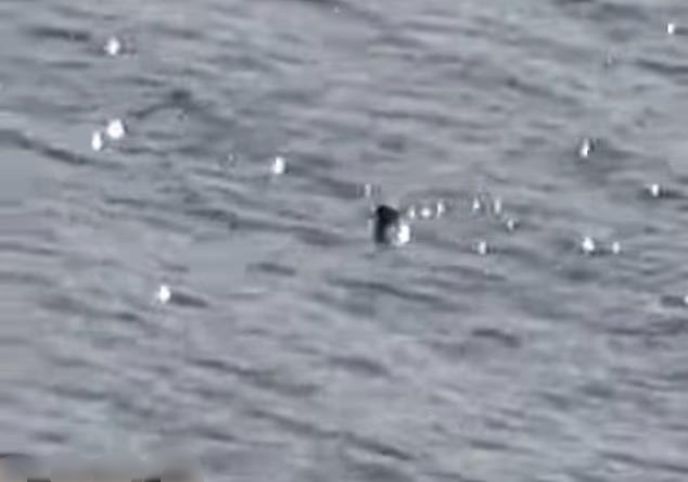 尼斯湖水怪现踪？神秘黑物“抬头前进”最新目击画面曝光