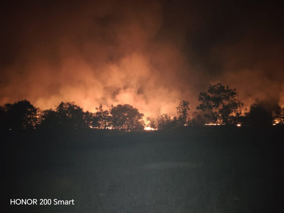 已签发//双溪布亚树林发生林火·消拯队12小时彻夜灭火