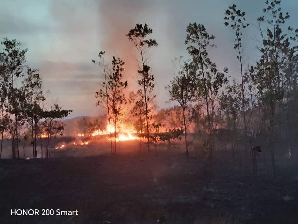 已签发//双溪布亚树林发生林火·消拯队12小时彻夜灭火