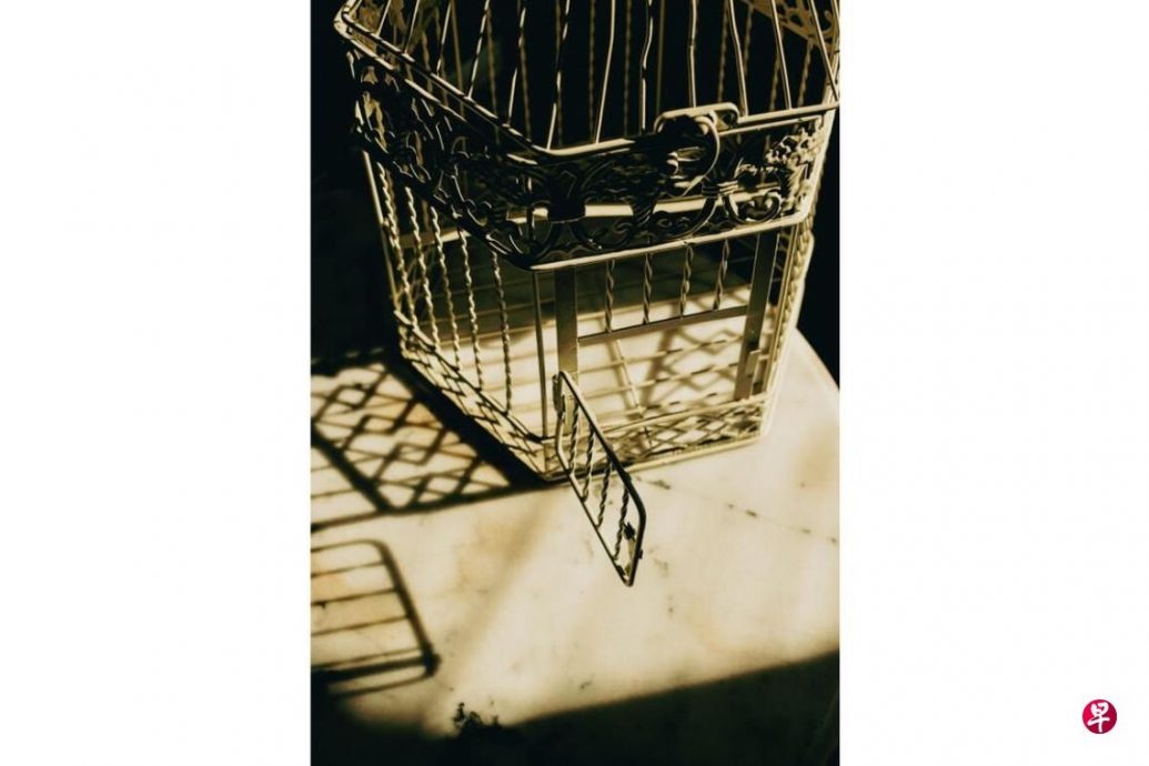 *已签发*柔:狮城二三事:放走他人宠物鸟偷包裹 狮城48岁男子监10天