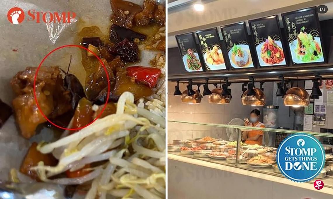 *已签发*柔:狮城二三事:母买杂菜饭 儿惊见藏蟑螂