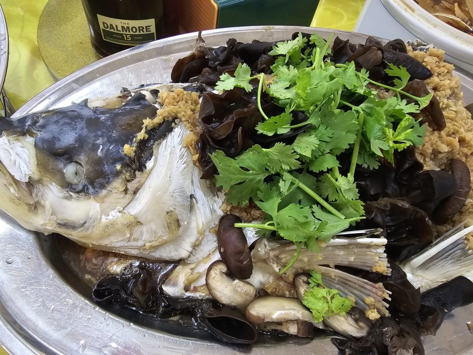 南北吃东西：鱼王续篇