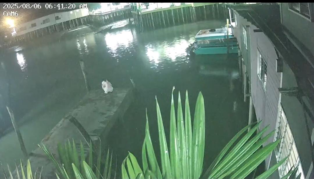 已签发（全国）母携3岁女儿跳海案——闭路电视画面“诡异”