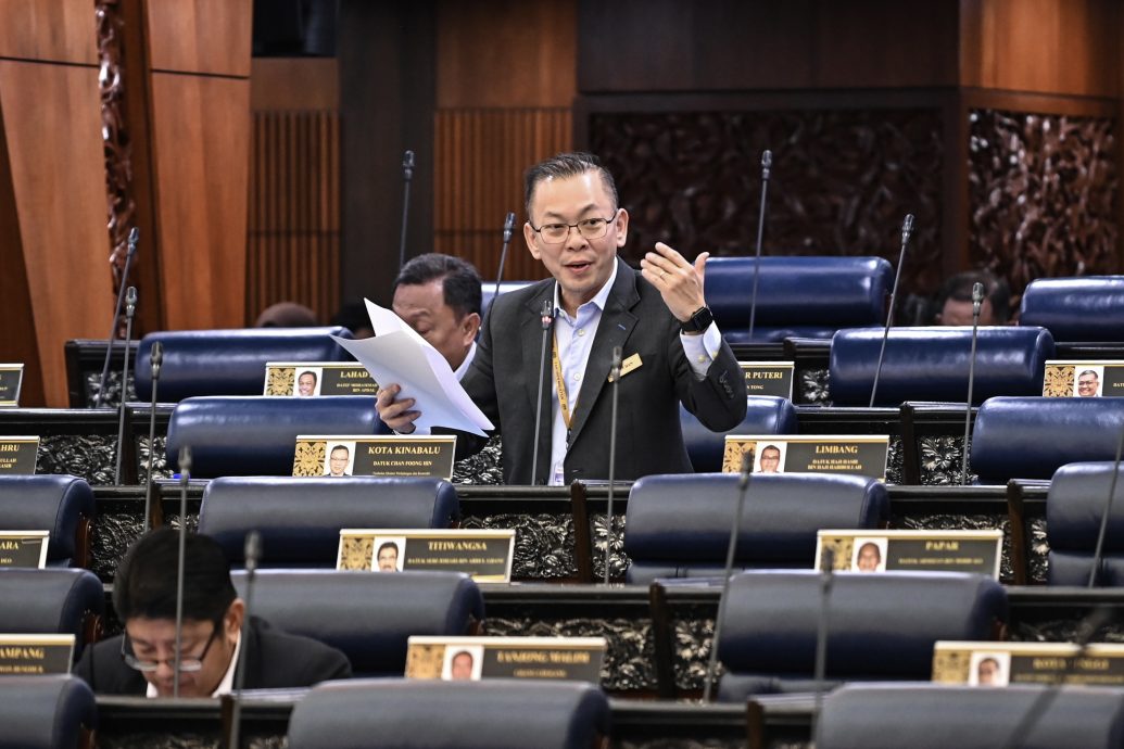 干可可豆平均价格一年141%  国际可可节销售3.55亿 