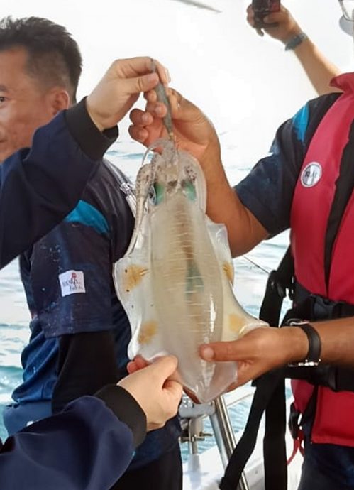 彭旅游局首办国际青目鱿鱼垂钓赛，吸引101人25支队伍参赛。