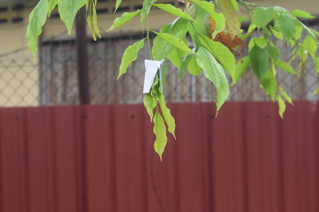 待上网//霹:学海学记|校园报道|主文|阅读也能寻宝 勇敢超越自我