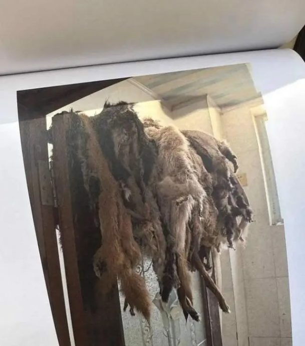 情侣霸住房子一年多 房东开门险吓晕