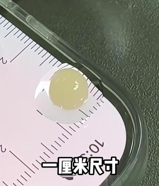 拼盘 沪培育厘米级生物人工心脏