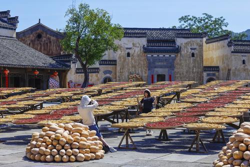 拼盘两图 未签 /安徽古村晒秋忙 五彩映丰收