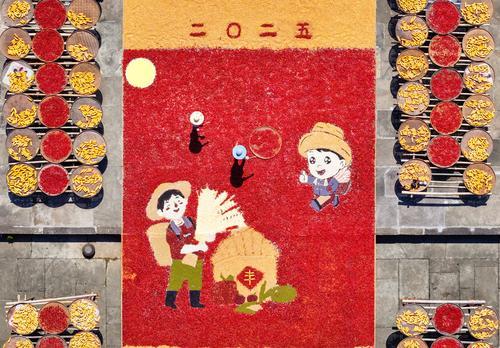 拼盘两图 未签 /安徽古村晒秋忙 五彩映丰收