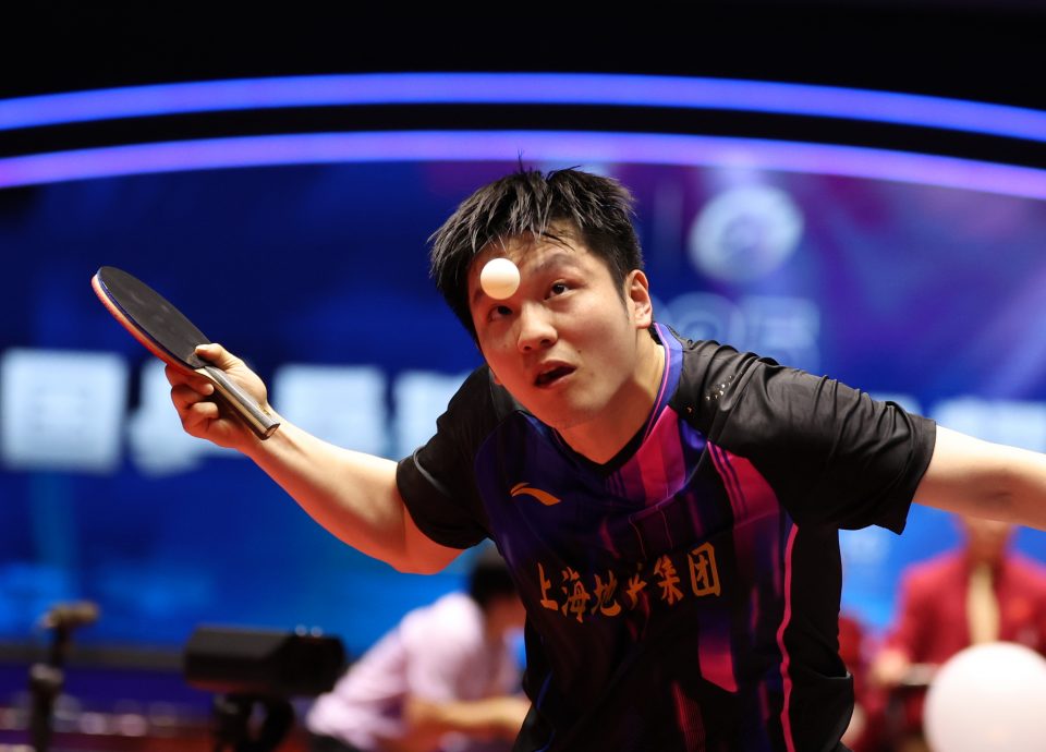 探索更多可能  樊振东投资美国乒乓大联盟