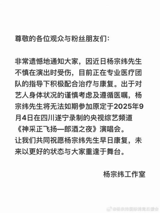 摔落2米高舞台扭伤腰 杨宗纬陆续取消2场演出
