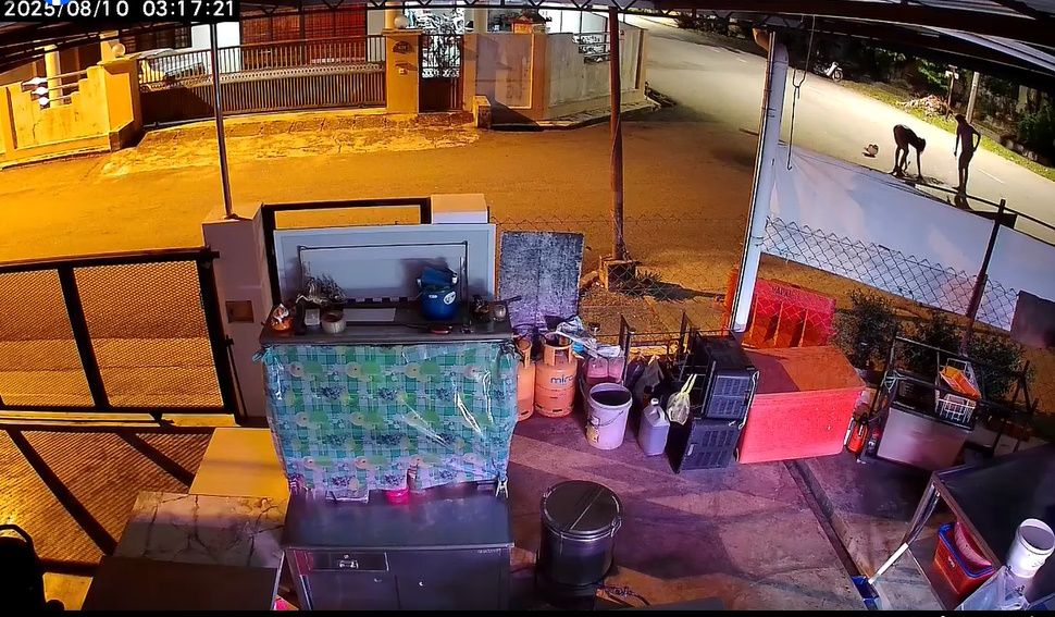 撬井盖偷电缆被阻 匪徒失车竟报警 当场落网