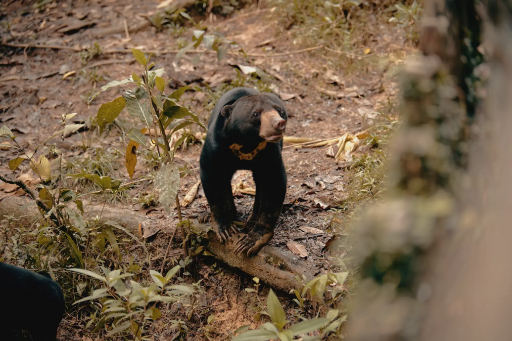 暖势力 / “微光成海”小人物推动社区变革 用行动说话 改写未来