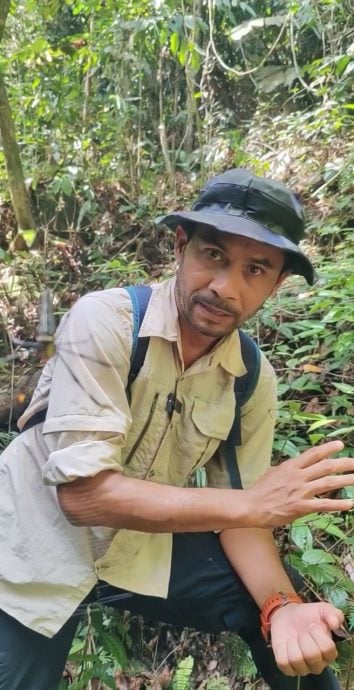 暖势力/他把森林变成“露天历史博物馆”