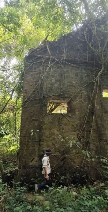 暖势力/他把森林变成“露天历史博物馆”