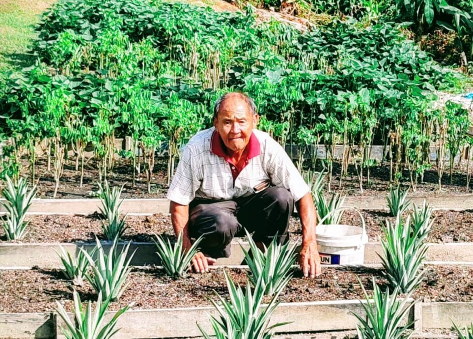 暖势力︱乐龄志工朱绍均 用双手守护社区环境