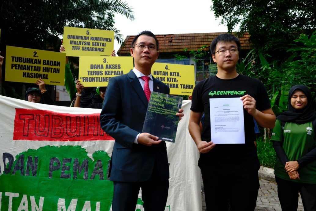 未上网/社运组织步行至国会 促政府设国家森林稽查