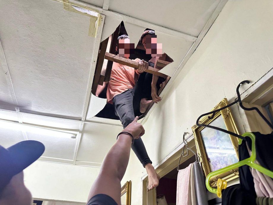 架设假网站称助申请电子签证赚千万 外籍女活跃多年终被捕