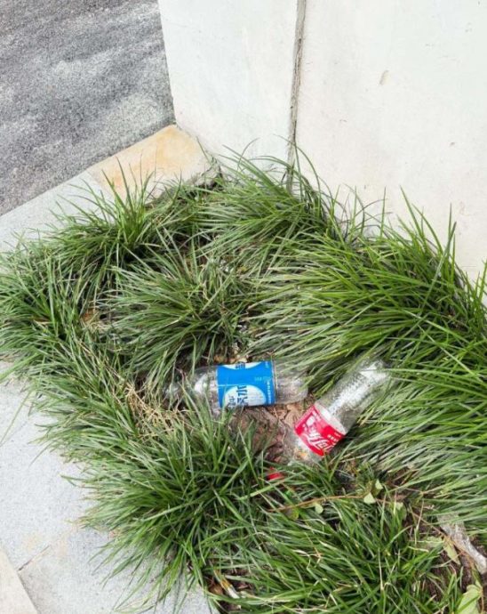 柳惠英游上海拍外送员晒宝特瓶照 卷辱华争议被出征