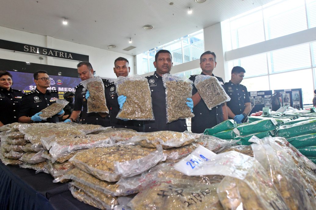 毒品集团涉毒又涉黄 警缉获值百万大麻花还捕外籍女公关