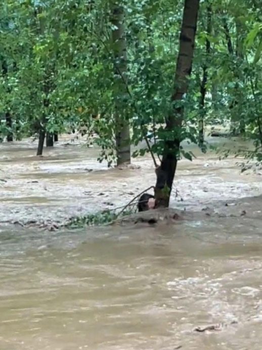 河北强降雨导致当地文旅项目3死4失联