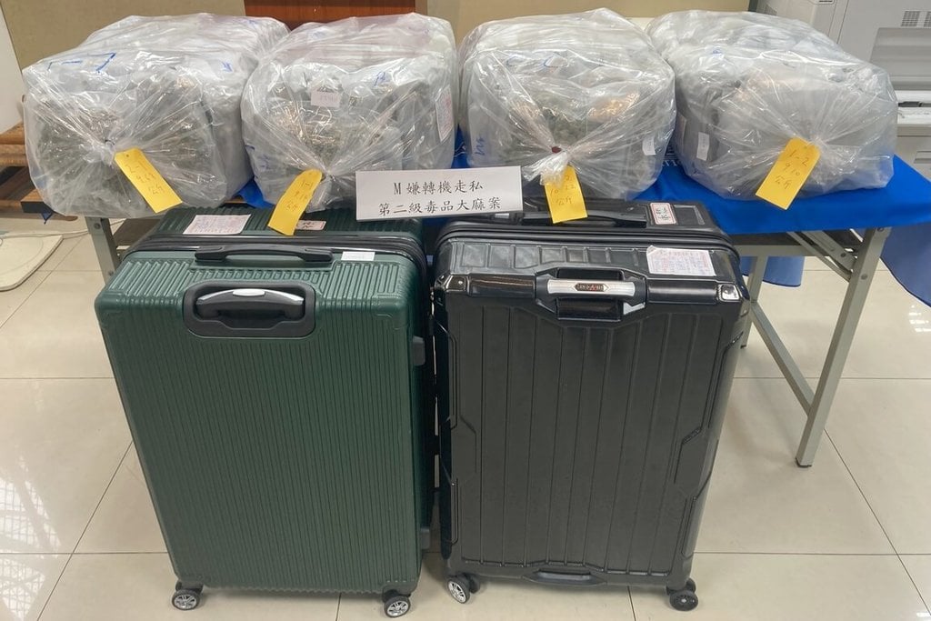 法国男模携逾37公斤大麻过境遭逮　台航警以毒品罪嫌起诉