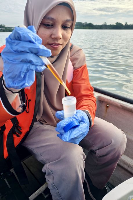 波德申再爆有害藻潮　公众受促勿食用青蚝与鲜蛤等贝类