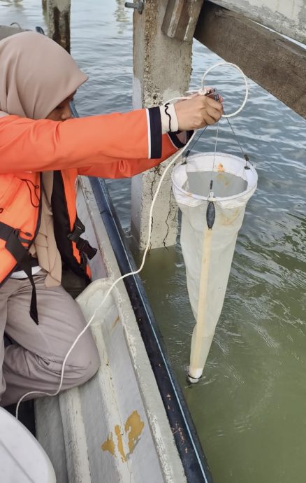 波德申再爆有害藻潮　公众受促勿食用青蚝与鲜蛤等贝类