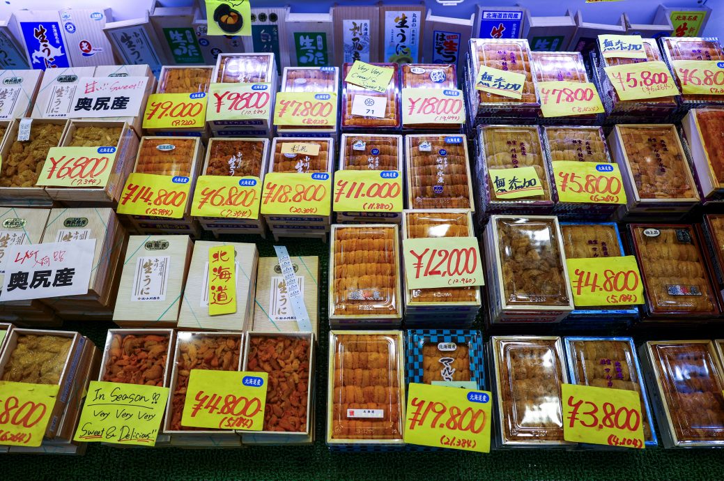 海水暖化渔获量减 价格飙涨  北海道海胆盖饭一碗500多令吉 