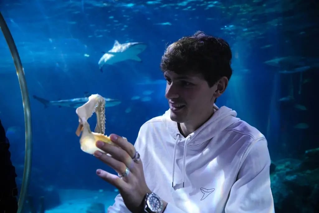 海洋霸主牙齿恐掉光? 专家:海水酸化造成腐蚀